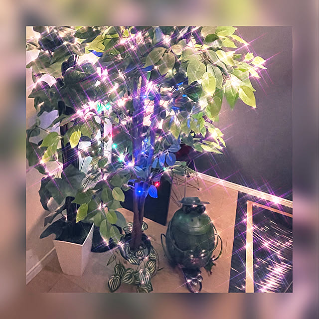 aureaさんの実例写真