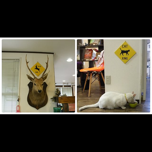Makoto workplaceさんの実例写真