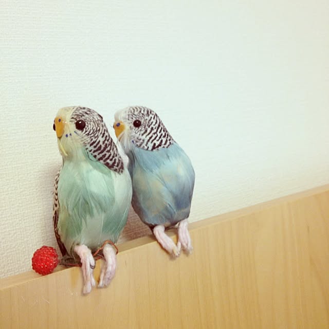 maさんの実例写真