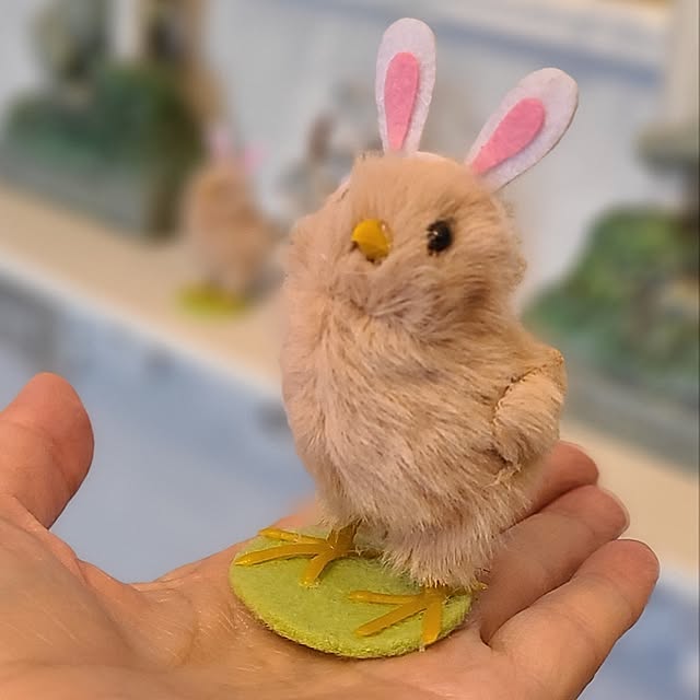 mieさんの実例写真
