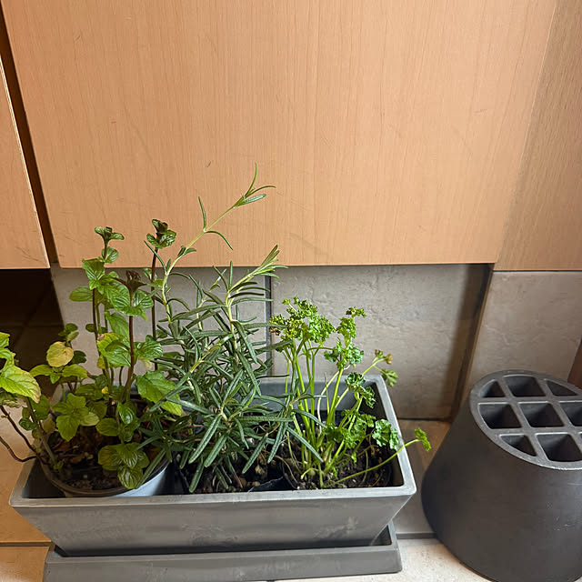 natsuさんの実例写真