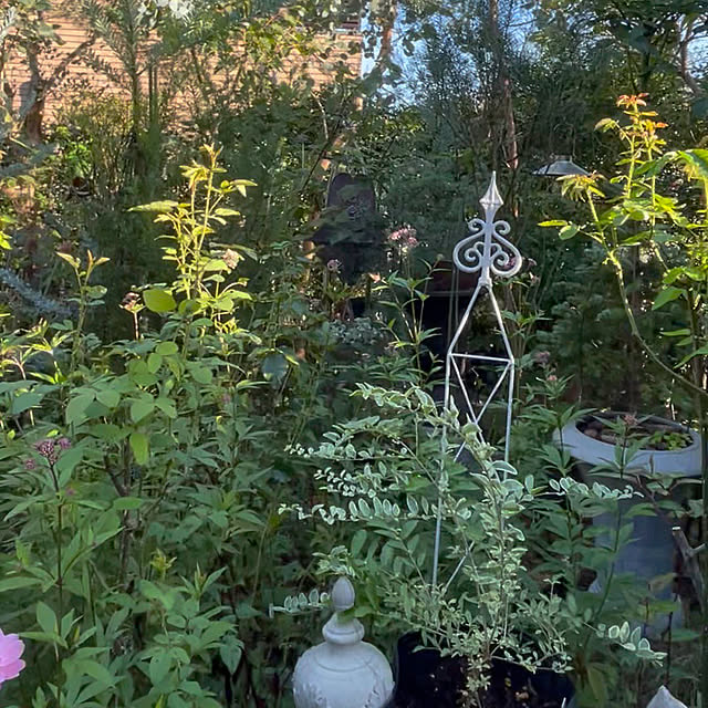 cottageroseさんの部屋