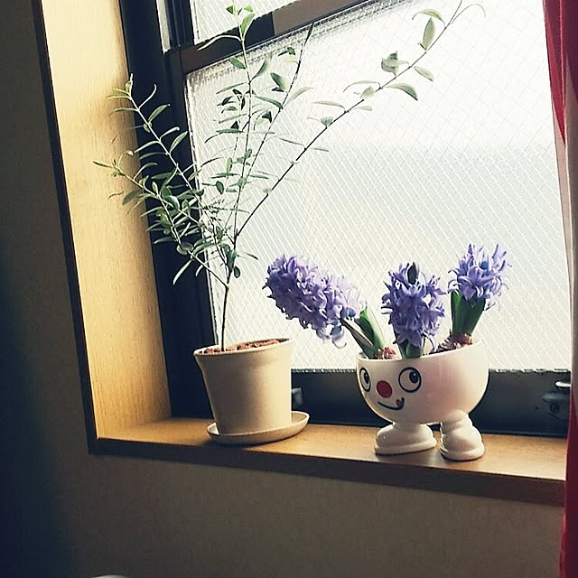kaoringoさんの実例写真