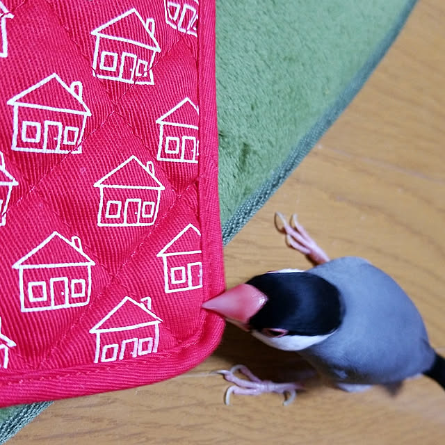 miiさんの実例写真