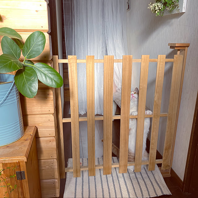 mintteaさんの実例写真