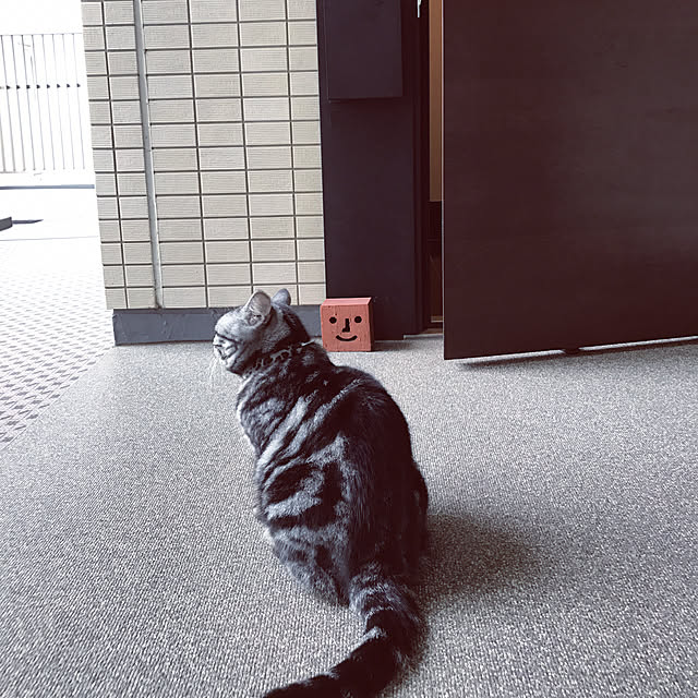 hiyupan88さんの実例写真