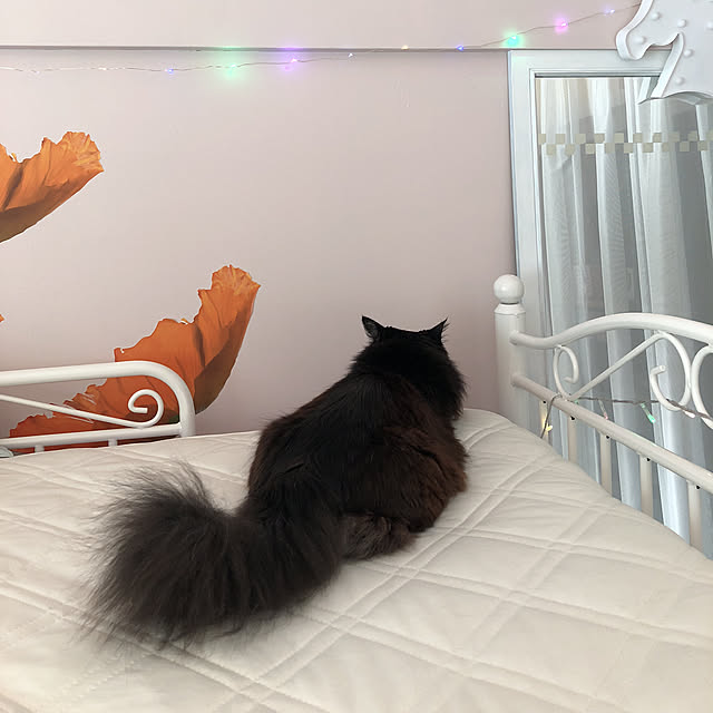kanaさんの実例写真