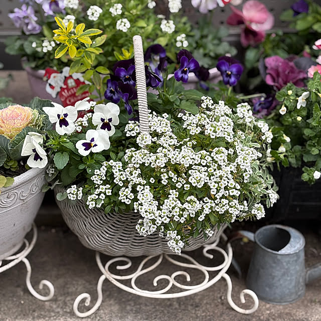 maayaさんの実例写真