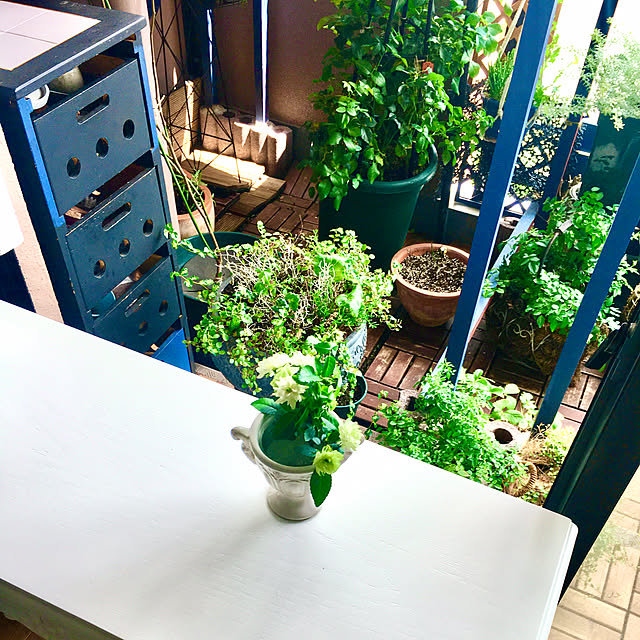 naokoさんの部屋