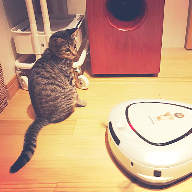 rasさんの実例写真
