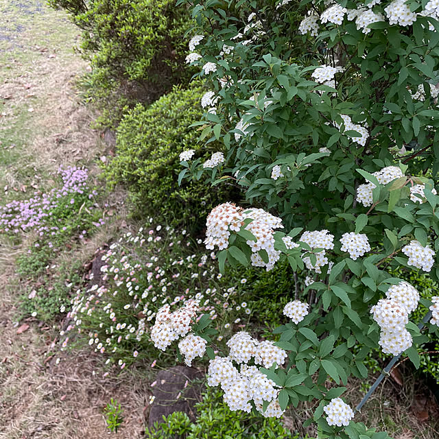 natsumiさんの部屋