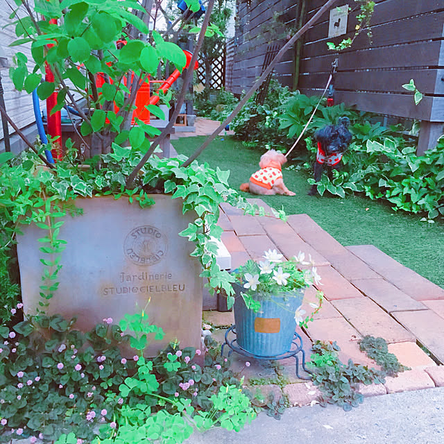 risaさんの実例写真