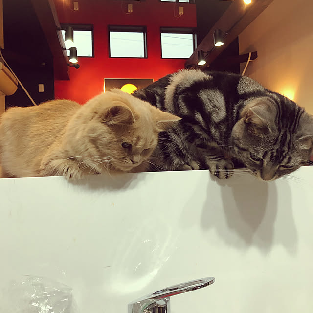 r.t.mamaさんの実例写真