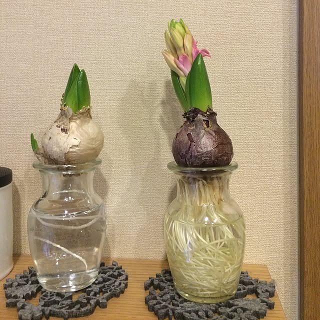 koume37さんの実例写真