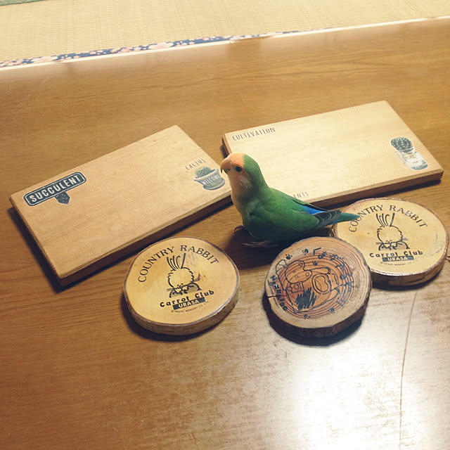 aoinokimiさんの実例写真