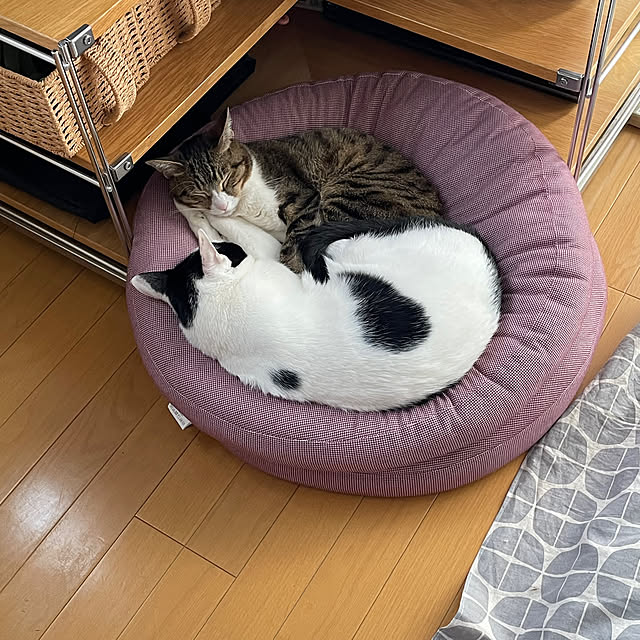 nobikoさんの部屋