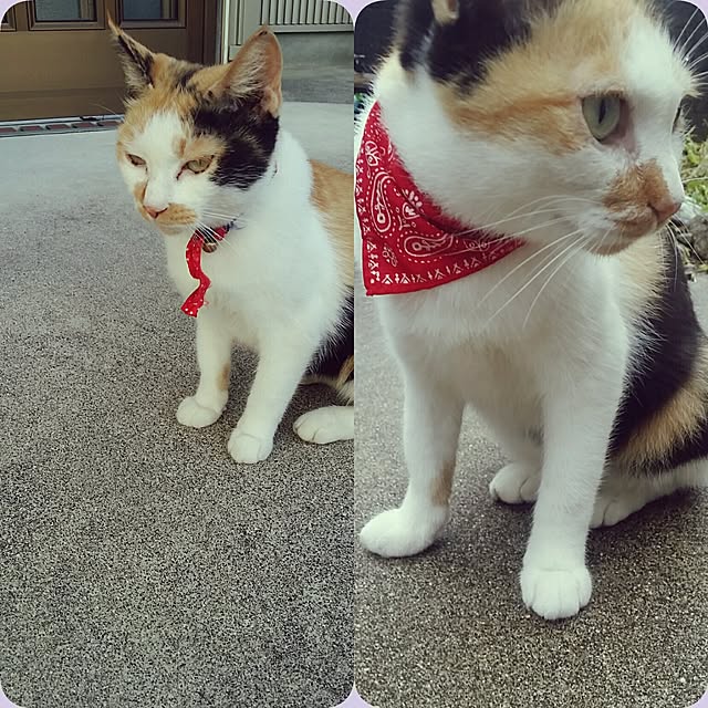 lemoned1126さんの実例写真