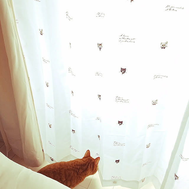 nyaka572さんの実例写真