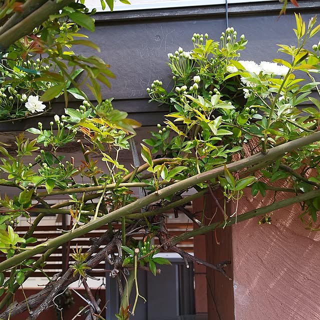hiro3さんの実例写真