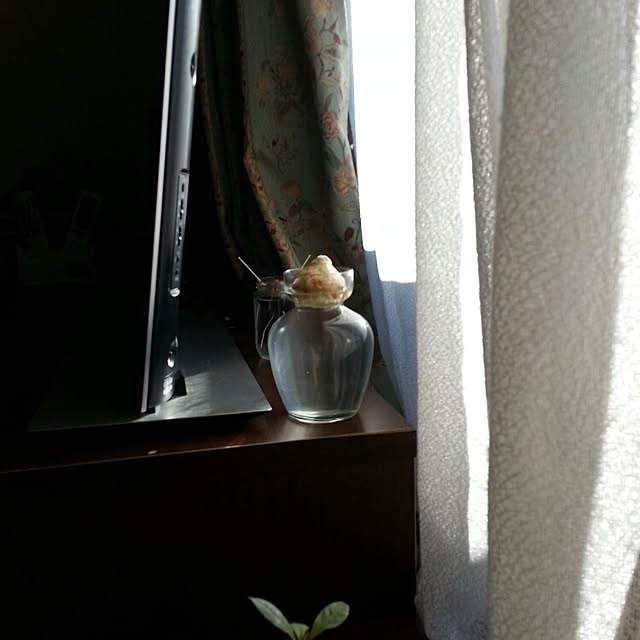 sumieさんの実例写真