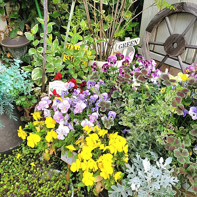 Blancheさんの部屋