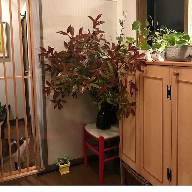 mori_6_12さんの実例写真