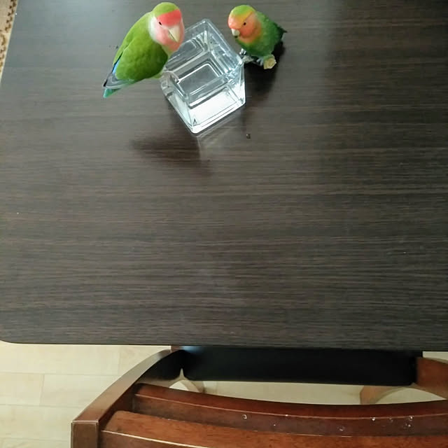toratanさんの実例写真