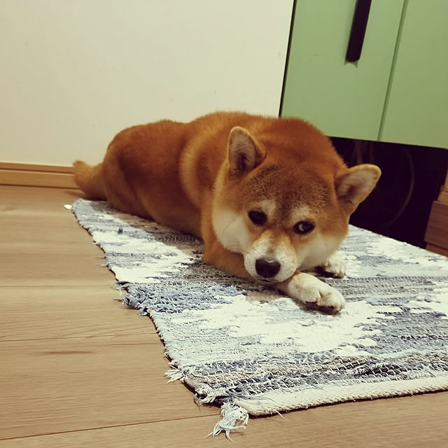 akitan0713さんの実例写真