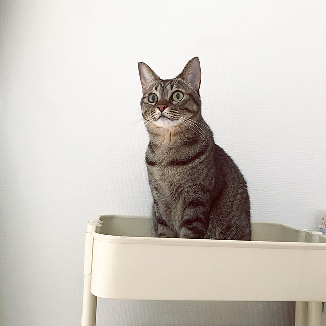 kettiさんの実例写真