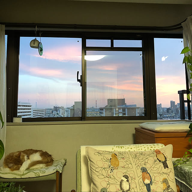 uchidaizuさんの実例写真