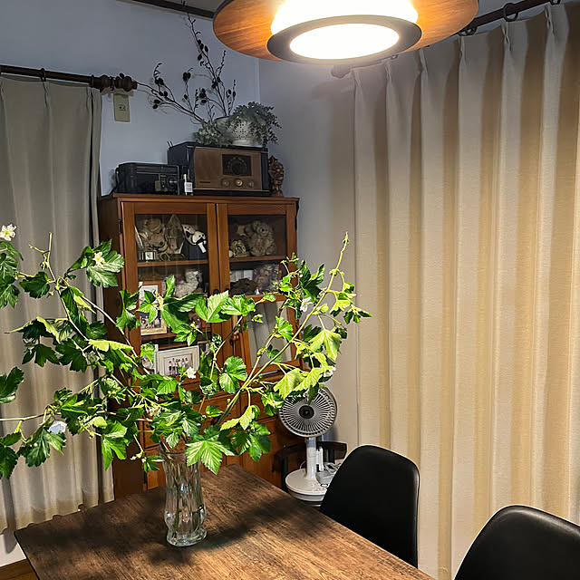 wanchanさんの部屋