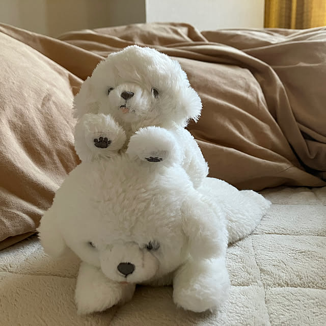 hikaruuさんの部屋