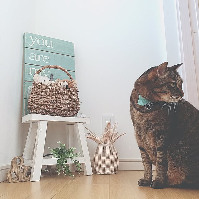lovecatさんの実例写真