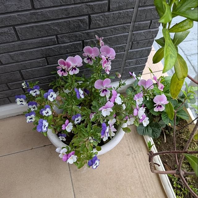 minnieさんの部屋