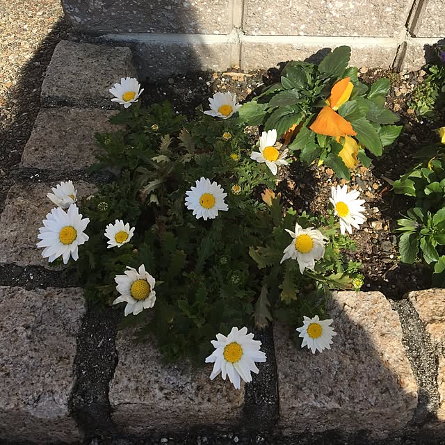 sanw2225719さんの実例写真