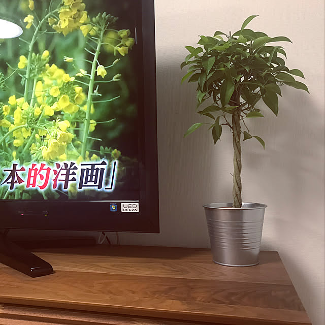 erikaさんの実例写真