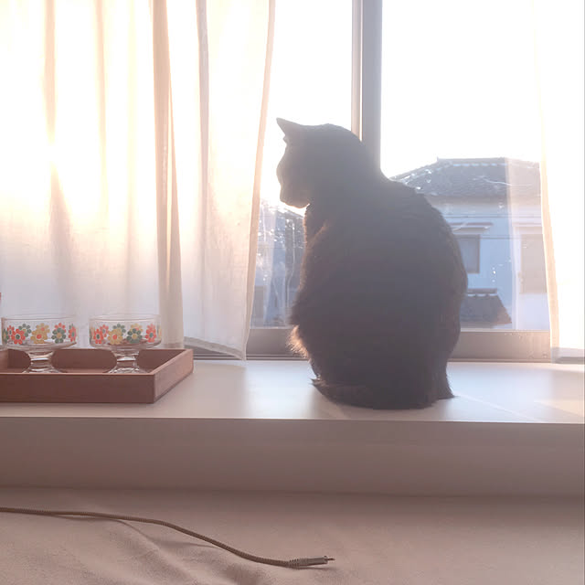 Lemon__chouさんの実例写真