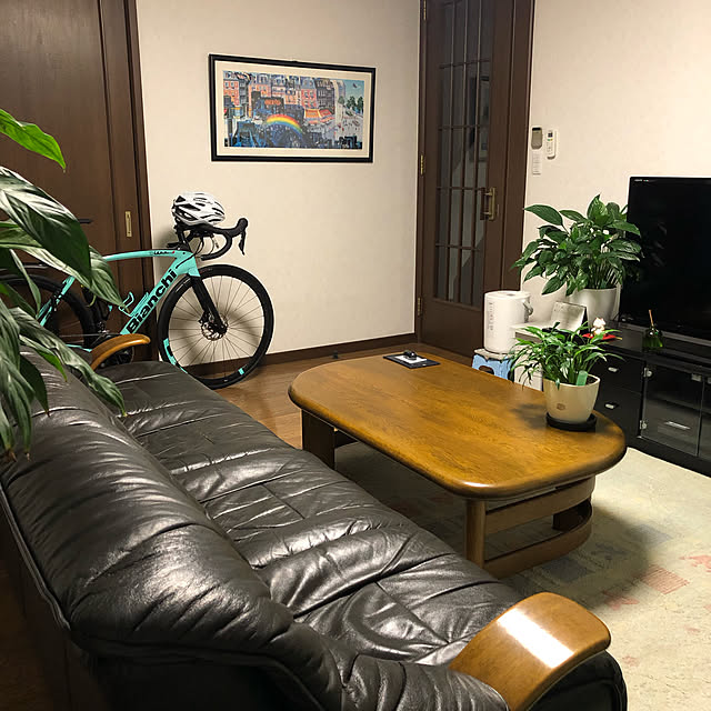 ロードバイク/観葉植物の囲まれて/カリモクのソファ、テーブル30年物/リフォーム後/リビングのインテリア実例 - 2022-01-03 23:54:36