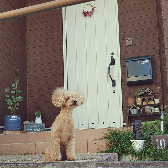HIROMINさんの実例写真