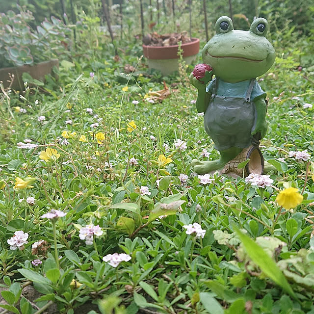 megumi_smileさんの実例写真