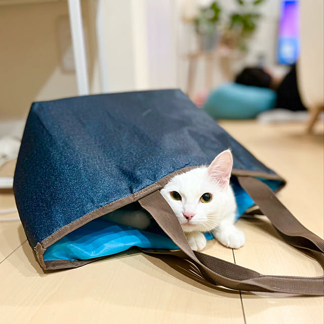 Miyu_さんの実例写真
