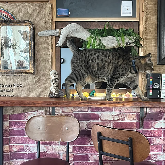 Mさんの部屋