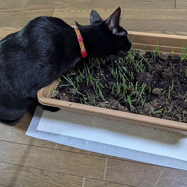 asaさんの部屋