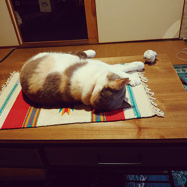 fukuさんの実例写真