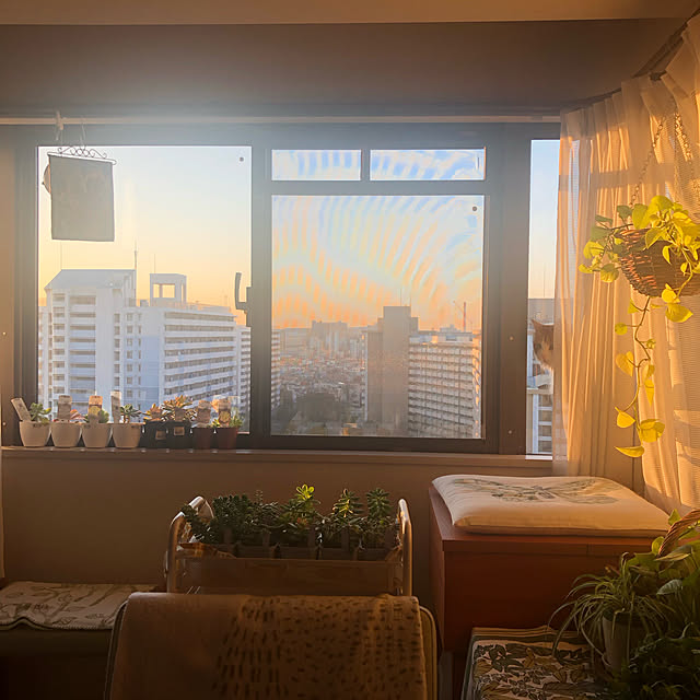 uchidaizuさんの実例写真