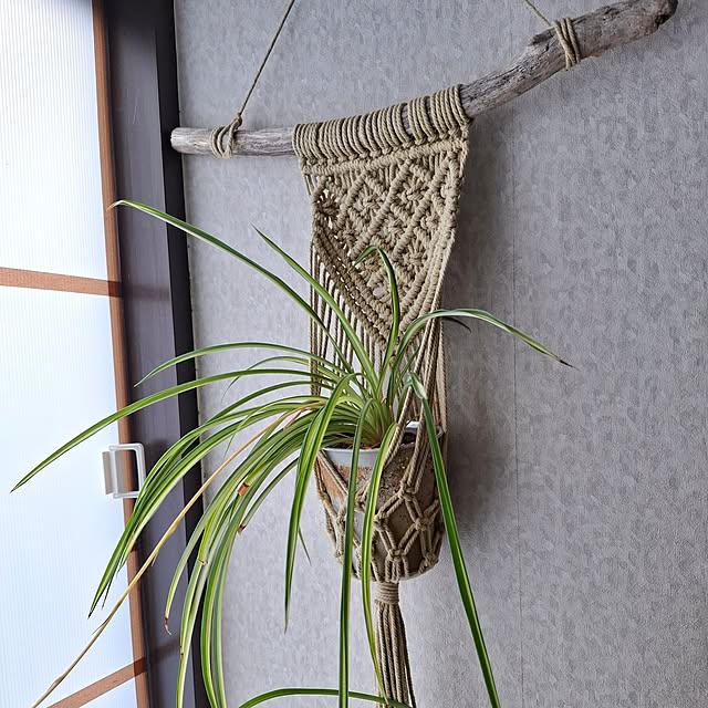 midoriさんの実例写真
