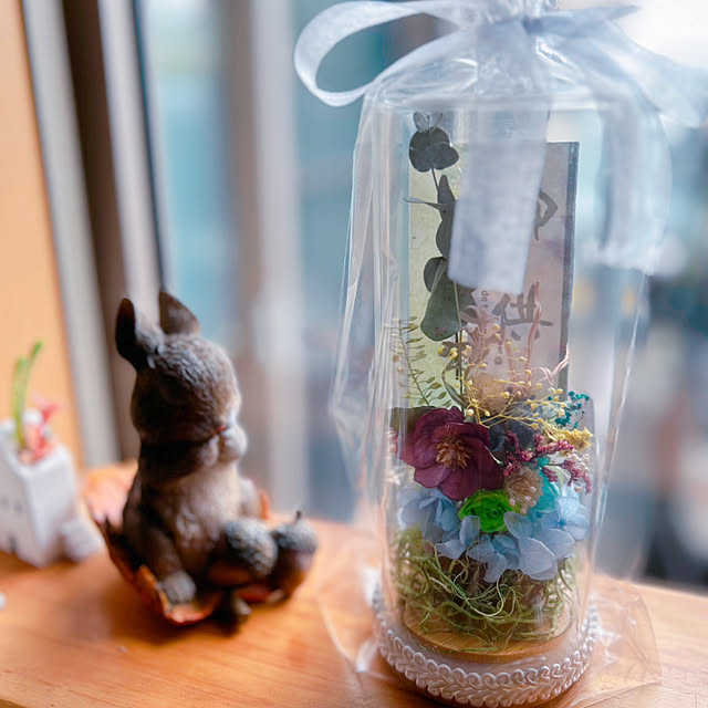 portulacaさんの実例写真