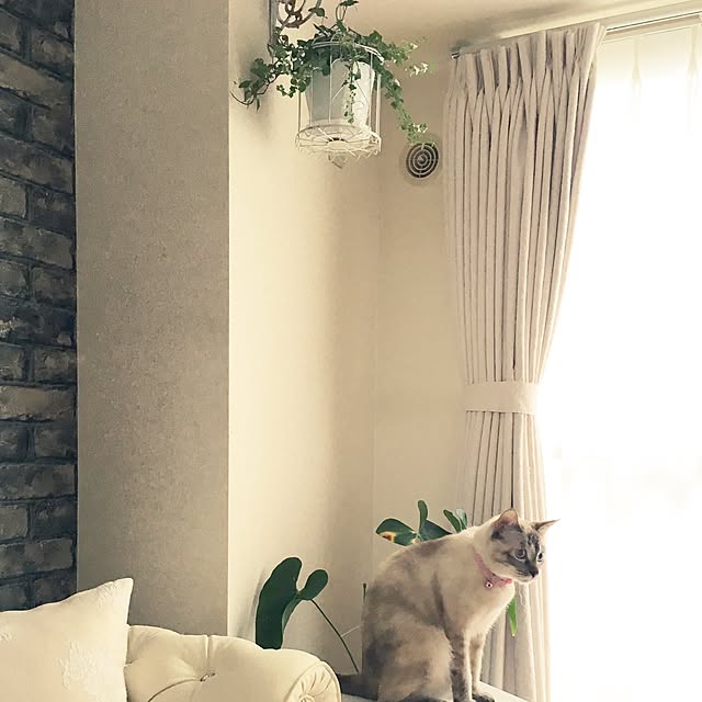 noelさんの実例写真