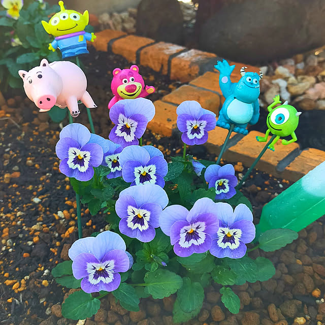 pecoさんの実例写真