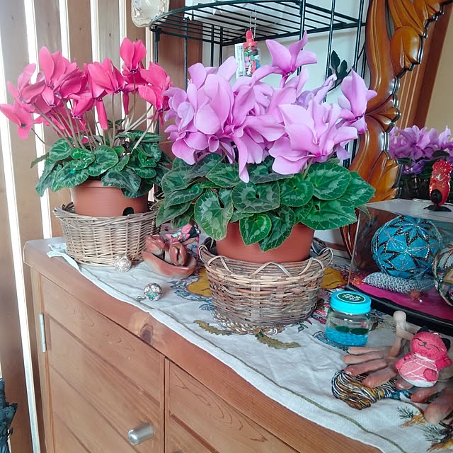 makaronさんの実例写真